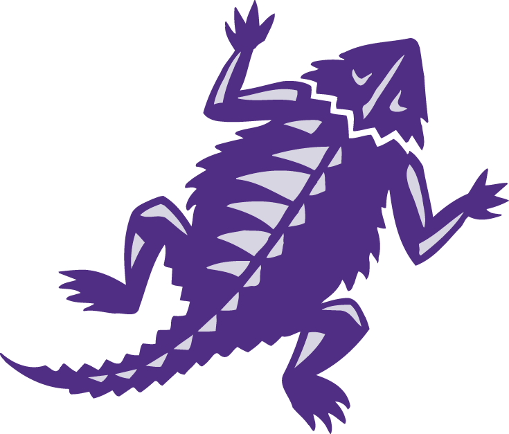 TCU Horned Frogs 2001-Pres Alternate Logo iron on transfers for fabric